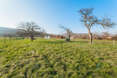 Terrain - BOERSCH - 3694m²