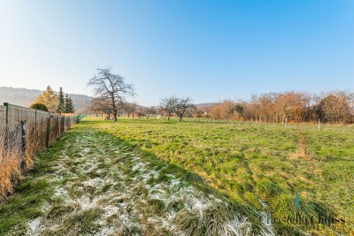 Terrain - BOERSCH - 3694m²