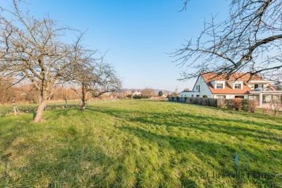 Terrain - BOERSCH - 3694m²