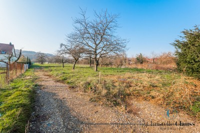Terrain - BOERSCH - 3694m²