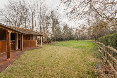 Maison - BOERSCH - 260m² - 5 chambres