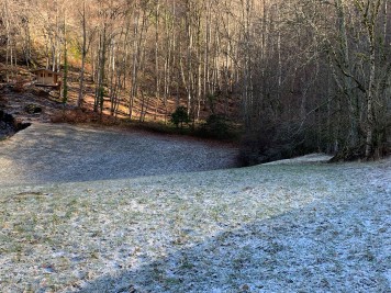 Terrain - VAILLY - 1424m²