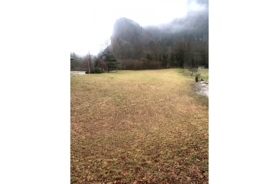 Terrain - VAILLY - 690m²