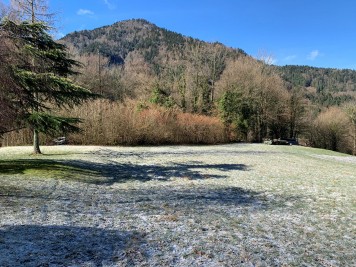 Terrain - VAILLY - 690m²