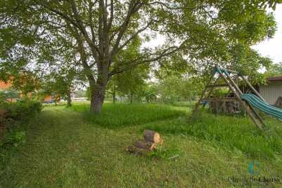 Terrain - GUEWENHEIM - 732m²