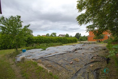 Terrain - GUEWENHEIM - 732m²