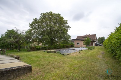 Terrain - GUEWENHEIM - 732m²