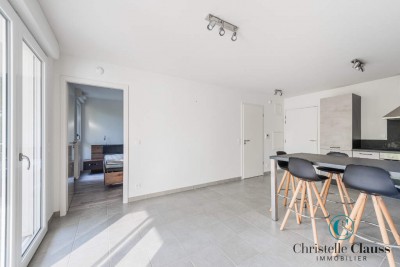 Appartement - SCHILTIGHEIM - 40m² - 1 chambre
