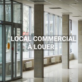 Local professionnel - BRUMATH - 48m²