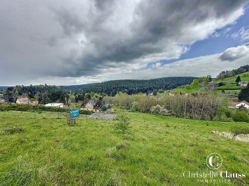 Terrain - WANGENBOURG ENGENTHAL - 1548m²
