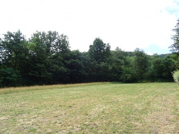Terrain - BITSCHWILLER LES THANN - 1005m²