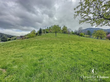 Terrain - WANGENBOURG ENGENTHAL - 1450m²