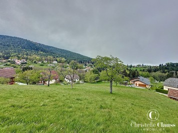 Terrain - WANGENBOURG ENGENTHAL - 1450m²