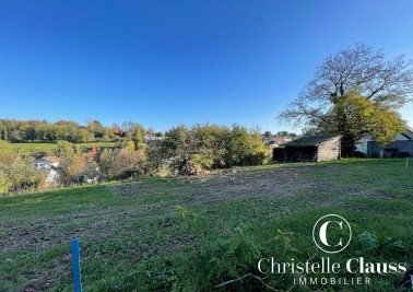 Terrain - BUSCHWILLER - 1022m²