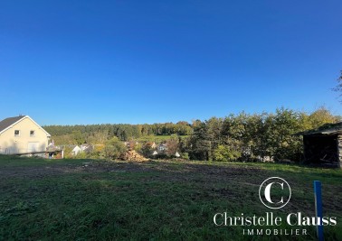 Terrain - BUSCHWILLER - 1022m²