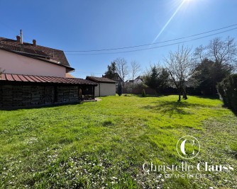 Terrain - LIPSHEIM - 550m²