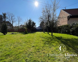Terrain - LIPSHEIM - 550m²