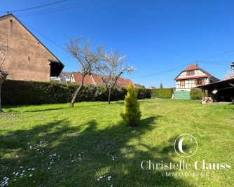 Terrain - LIPSHEIM - 550m²