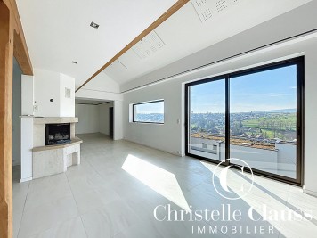 Maison - HAGENTHAL LE BAS - 293m² - 3 chambres