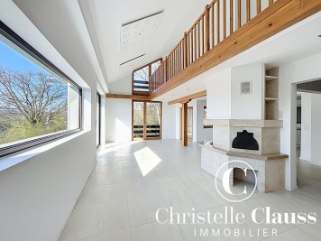 Maison - HAGENTHAL LE BAS - 293m² - 3 chambres