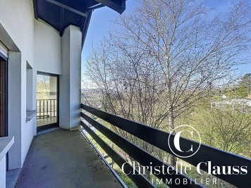 Maison - HAGENTHAL LE BAS - 293m² - 3 chambres