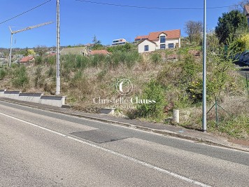 Terrain - MUTZIG - 531m²