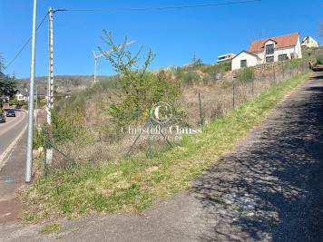 Terrain - MUTZIG - 531m²