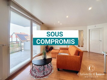Appartement - HAGUENAU - 46m² - 1 chambre