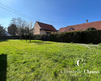Terrain - LIPSHEIM - 550m²