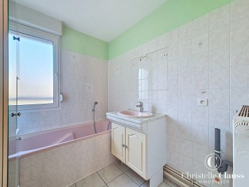 Appartement - HOENHEIM - 49m² - 1 chambre