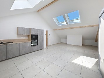 Appartement - VIUZ EN SALLAZ - 55m² - 2 chambres