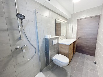 Local professionnel - VIUZ EN SALLAZ - 48m² - 1 chambre