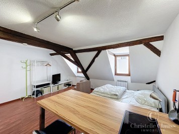 Appartement - MOLSHEIM - 23m² - 1 chambre