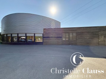 Local professionnel - HABSHEIM - 1200m²