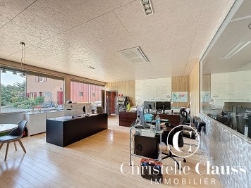 Local professionnel - HABSHEIM - 1200m²