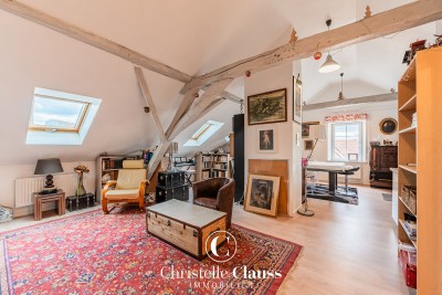Maison - ERSTEIN - 342m² - 6 chambres