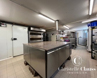 Local professionnel - LINGOLSHEIM - 100m²