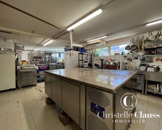 Local professionnel - LINGOLSHEIM - 100m²