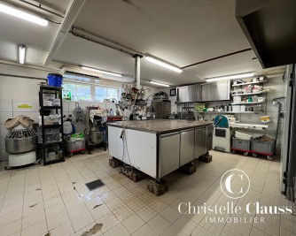Local professionnel - LINGOLSHEIM - 100m²