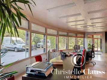Local professionnel - HABSHEIM - 1200m²