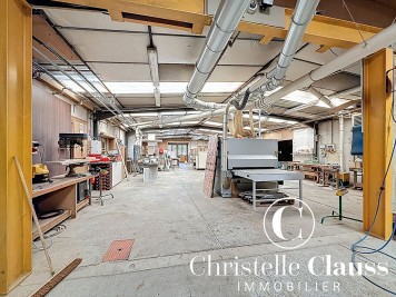 Local professionnel - HABSHEIM - 1200m²
