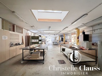 Local professionnel - HABSHEIM - 1200m²