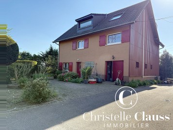 Local professionnel - HABSHEIM - 1200m²