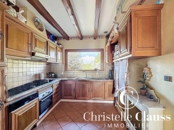 Local professionnel - HABSHEIM - 1200m²