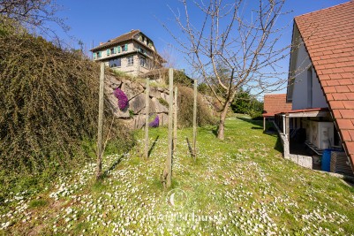 Maison - THANNENKIRCH - 180m² - 4 chambres