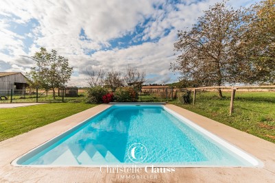Maison - WINGERSHEIM LES QUATRE BANS - 225m² - 6 chambres