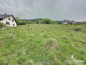 Terrain - WANGENBOURG ENGENTHAL - 1548m²