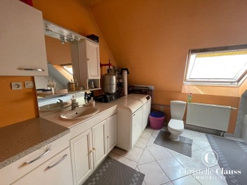 Immeuble - BISCHWILLER - 500m² - 10 chambres