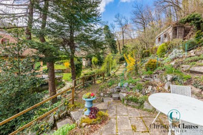 Maison - WASSERBOURG - 238m² - 5 chambres