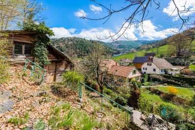 Maison - WASSERBOURG - 238m² - 5 chambres